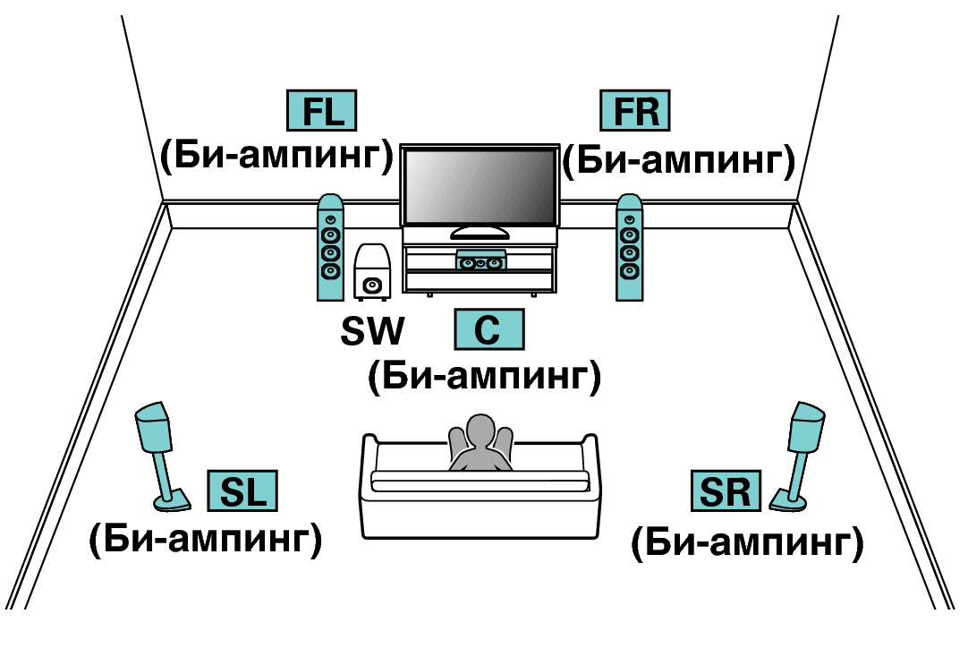 Pict SP Layout 5.1 BiAmp X64